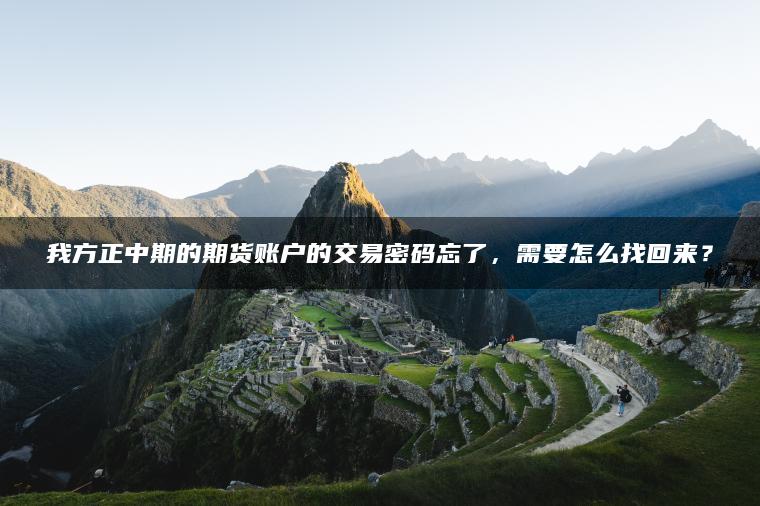我方正中期的期货账户的交易密码忘了，需要怎么找回来？