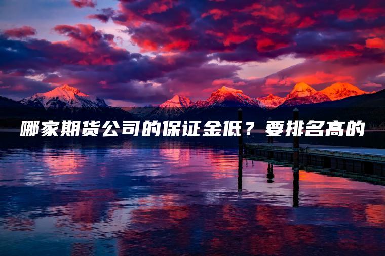 哪家期货公司的保证金低？要排名高的
