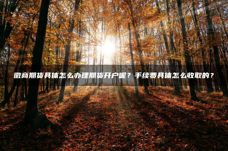 徽商期货具体怎么办理期货开户呢？手续费具体怎么收取的？