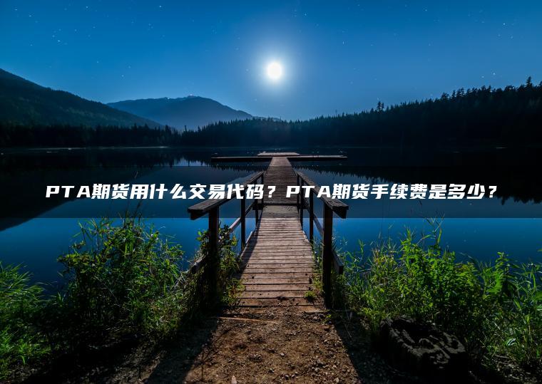 PTA期货用什么交易代码?PTA期货手续费是多少? PTA期货用什么交易代码?PTA期货手续费是多少?
