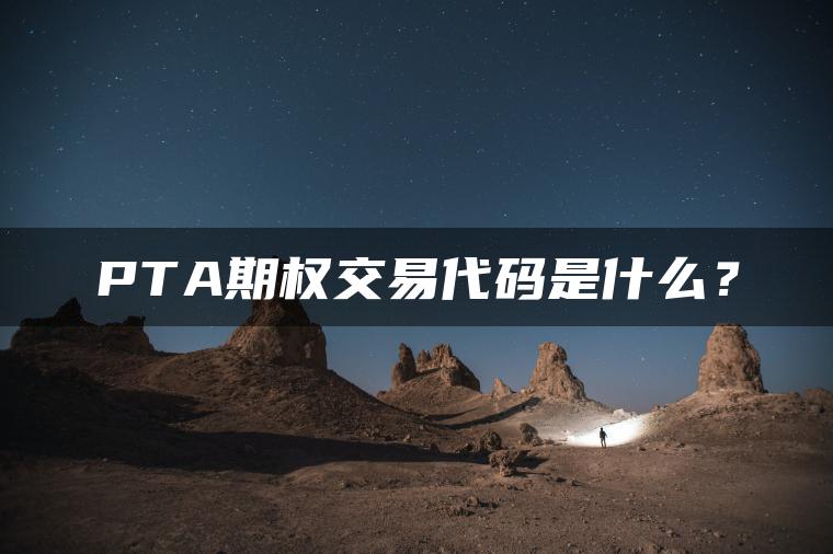 PTA期权交易代码是什么？