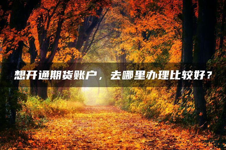 想开通期货账户，去哪里办理比较好？