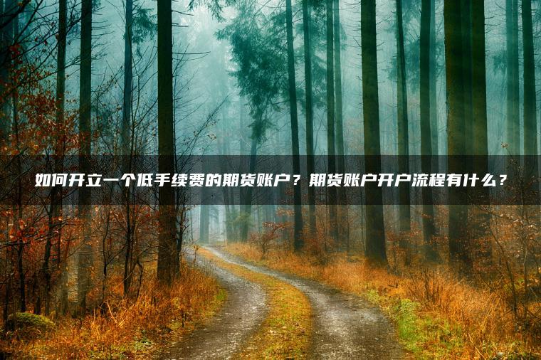 如何开立一个低手续费的期货账户?期货账户开户流程有什么? 如何开立一个低手续费的期货账户?期货账户开户流程有什么?