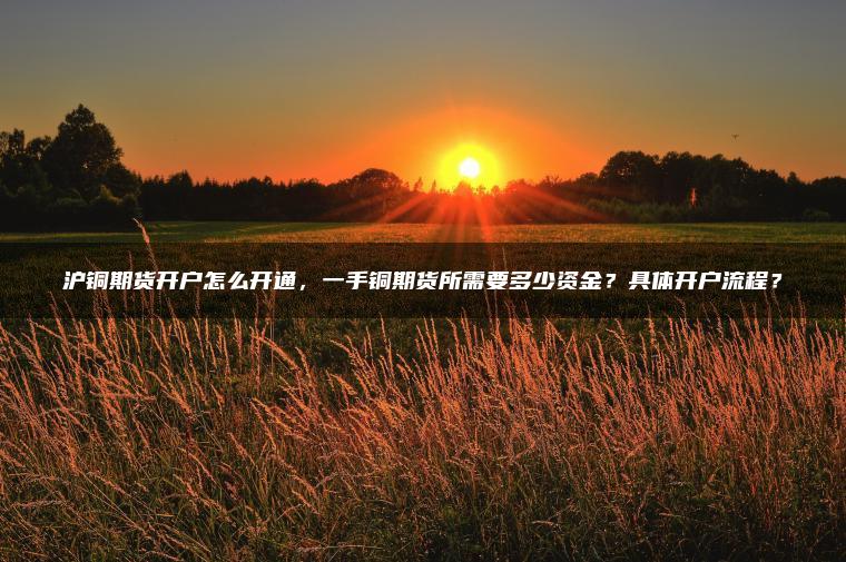 沪铜期货开户怎么开通,一手铜期货所需要多少资金?具体开户流程? 沪铜期货开户怎么开通,一手铜期货所需要多少资金?具体开户流程?