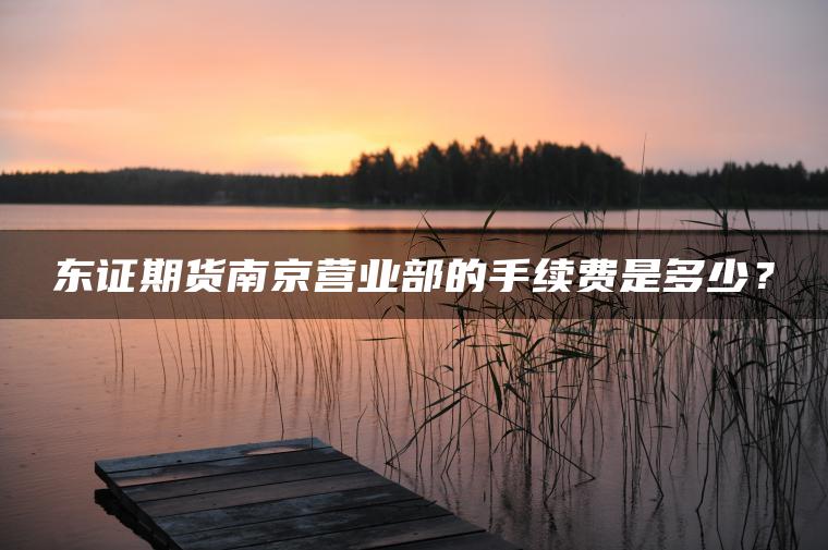 东证期货南京营业部的手续费是多少？