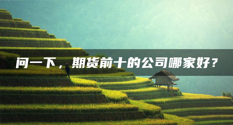 问一下，期货前十的公司哪家好？