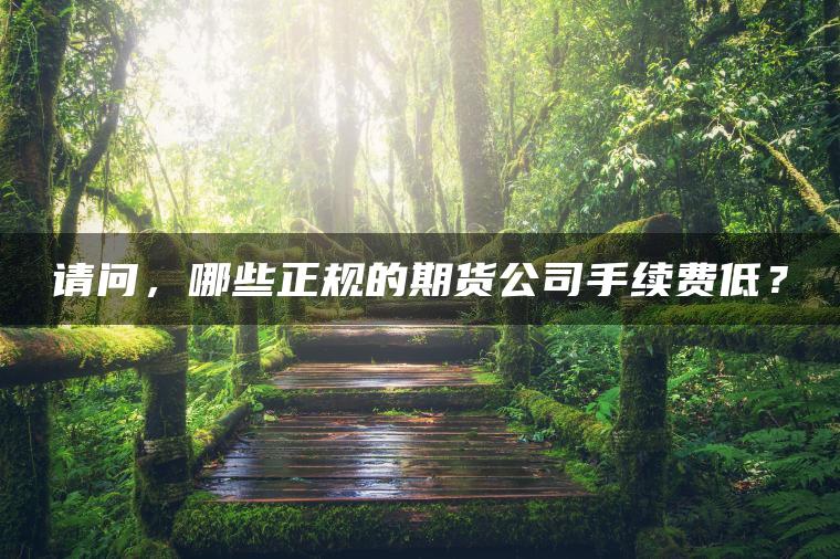 请问,哪些正规的期货公司手续费低? 请问,哪些正规的期货公司手续费低?