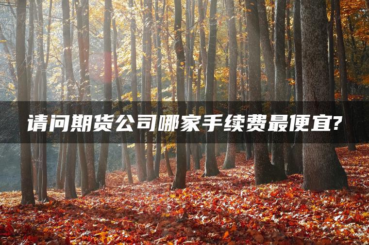 请问期货公司哪家手续费最便宜?