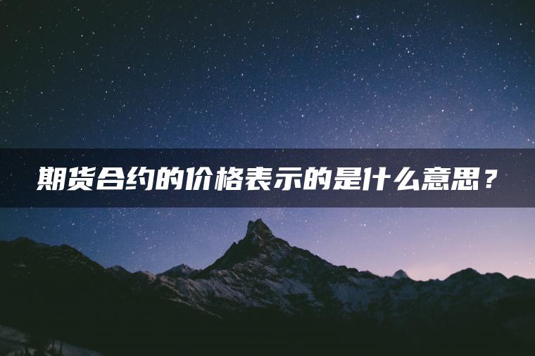 期货合约的价格表示的是什么意思？