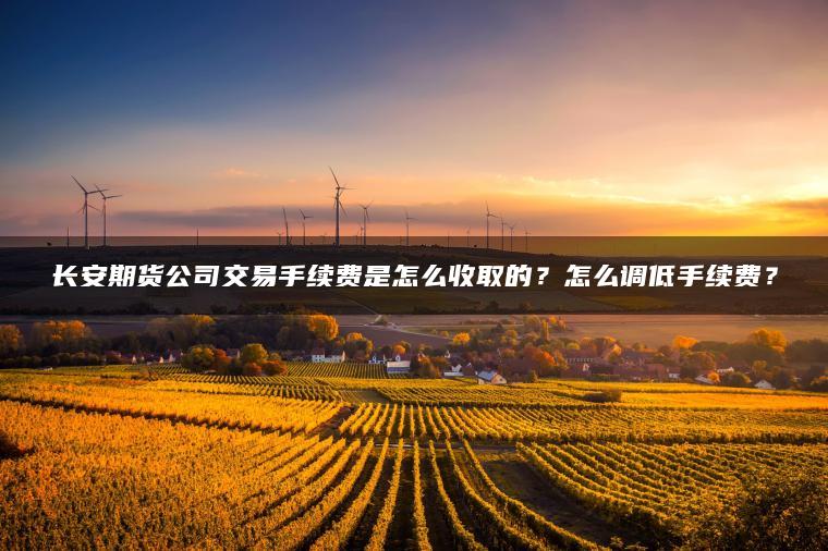 长安期货公司交易手续费是怎么收取的?怎么调低手续费? 长安期货公司交易手续费是怎么收取的?怎么调低手续费?