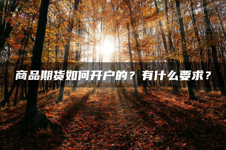 商品期货如何开户的？有什么要求？