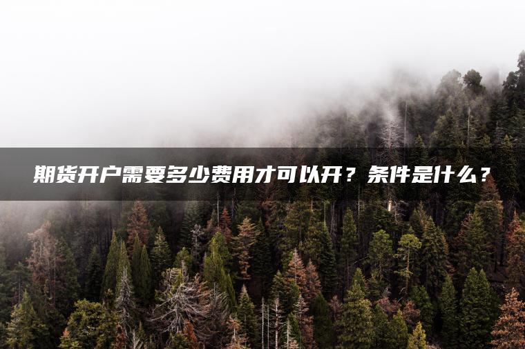 期货开户需要多少费用才可以开？条件是什么？