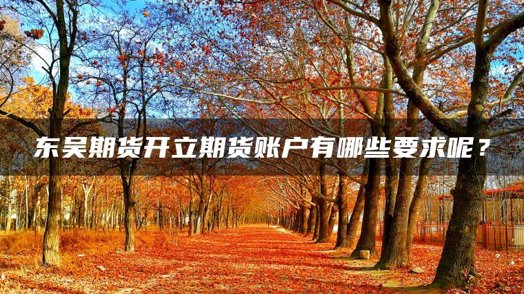 东吴期货开立期货账户有哪些要求呢? 东吴期货开立期货账户有哪些要求呢?