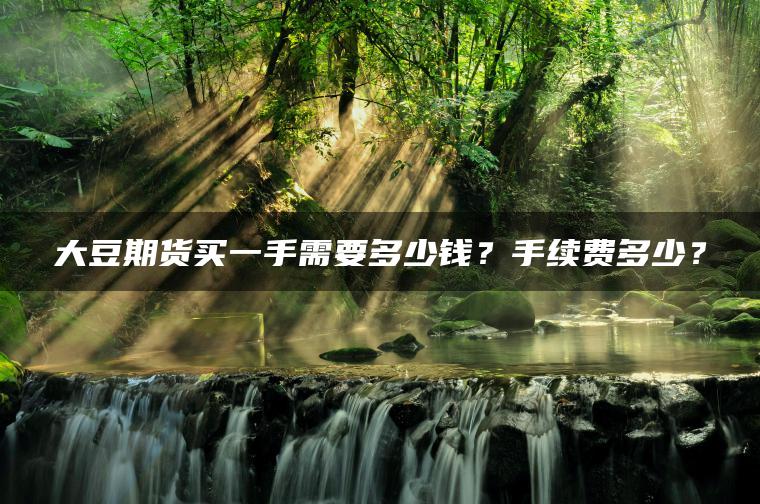 大豆期货买一手需要多少钱?手续费多少? 大豆期货买一手需要多少钱?手续费多少?