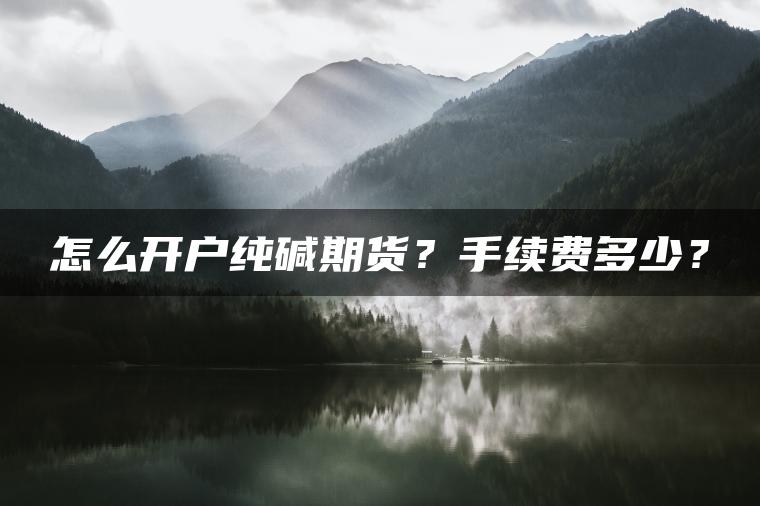 怎么开户纯碱期货？手续费多少？