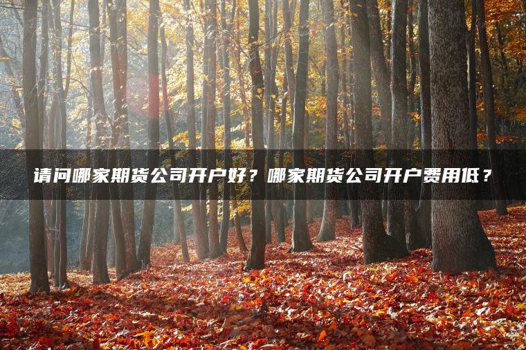 请问哪家期货公司开户好？哪家期货公司开户费用低？