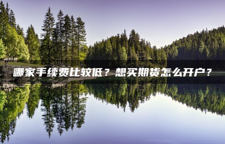 哪家手续费比较低?想买期货怎么开户? 哪家手续费比较低?想买期货怎么开户?