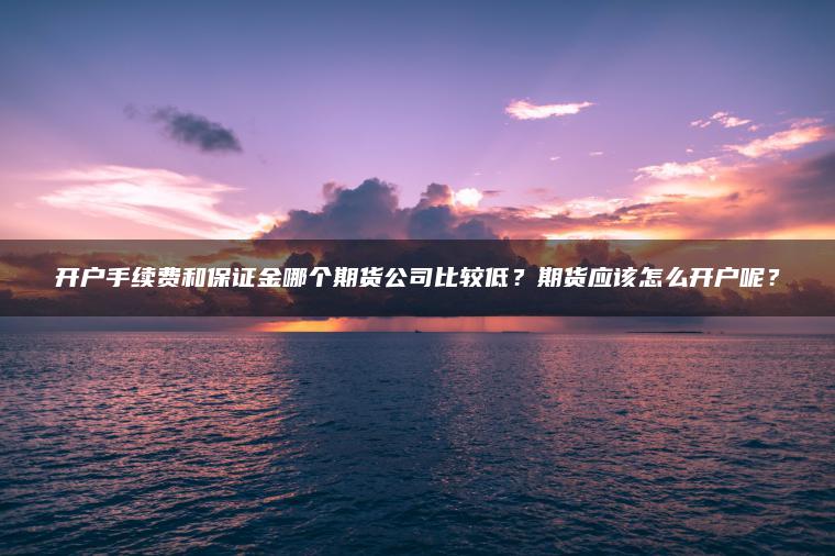 开户手续费和保证金哪个期货公司比较低?期货应该怎么开户呢? 开户手续费和保证金哪个期货公司比较低?期货应该怎么开户呢?