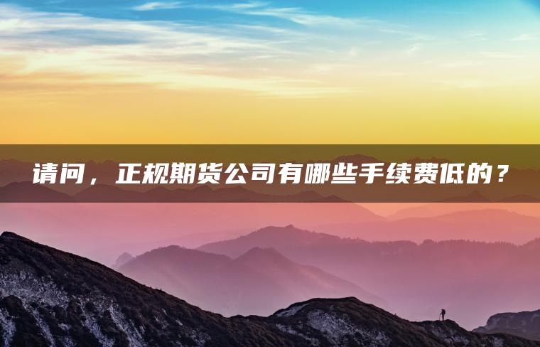 请问，正规期货公司有哪些手续费低的？