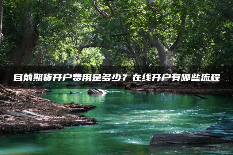 目前期货开户费用是多少?在线开户有哪些流程 目前期货开户费用是多少?在线开户有哪些流程