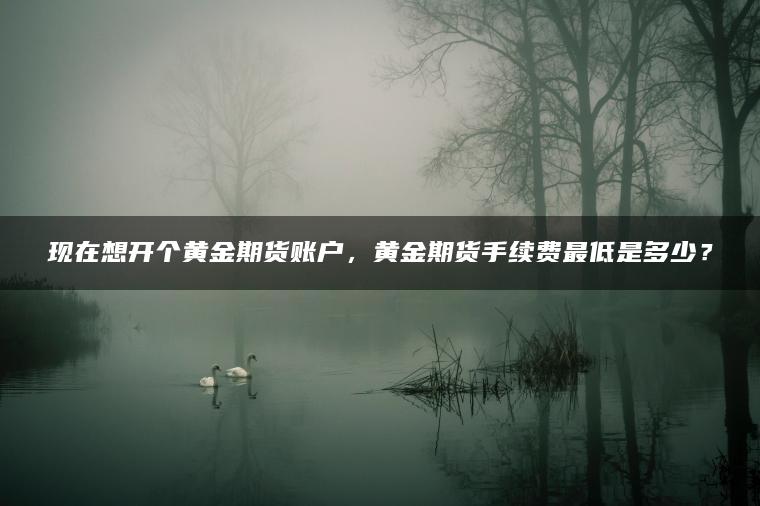 现在想开个黄金期货账户，黄金期货手续费最低是多少？