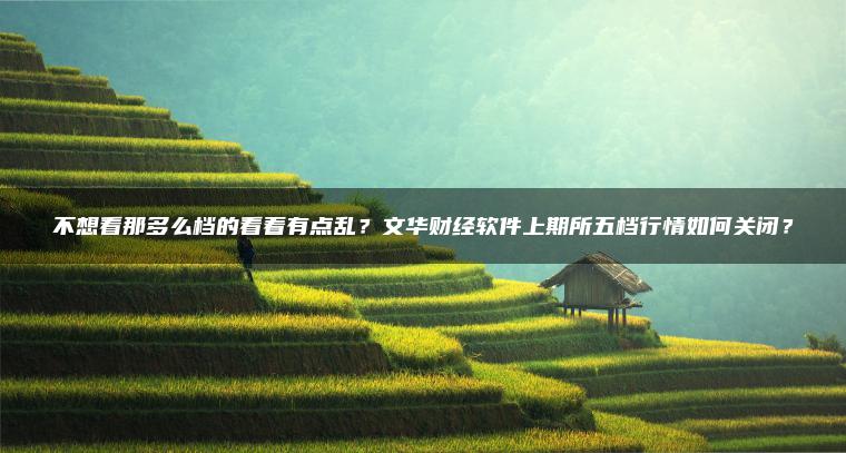 不想看那多么档的看着有点乱？文华财经软件上期所五档行情如何关闭？