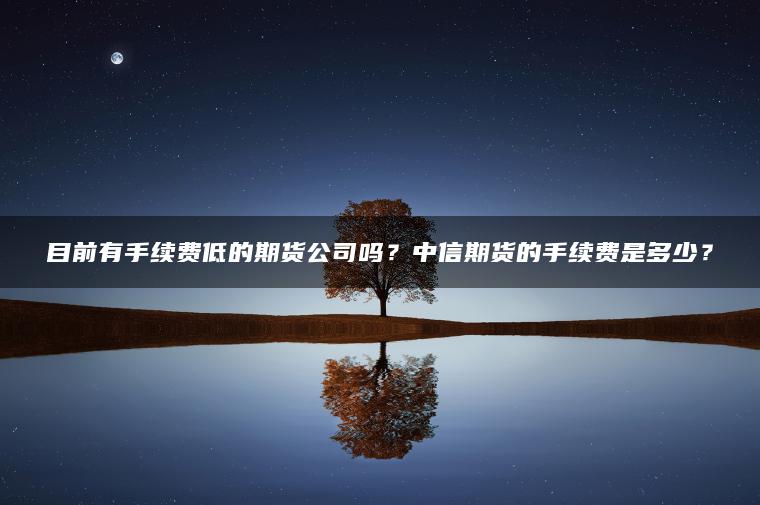 目前有手续费低的期货公司吗？中信期货的手续费是多少？