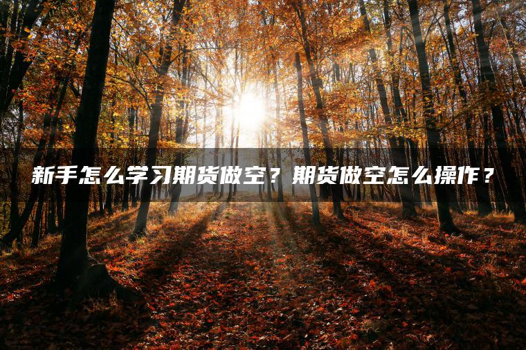 新手怎么学习期货做空？期货做空怎么操作？