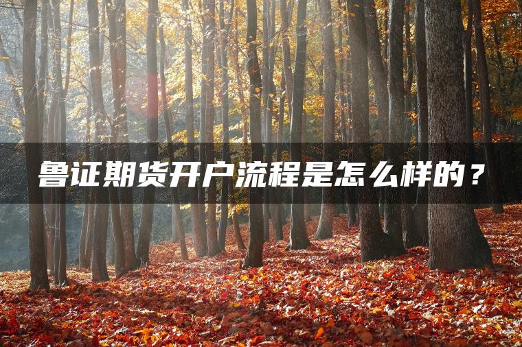 鲁证期货开户流程是怎么样的? 鲁证期货开户流程是怎么样的?