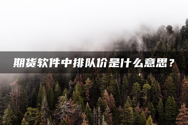 期货软件中排队价是什么意思？