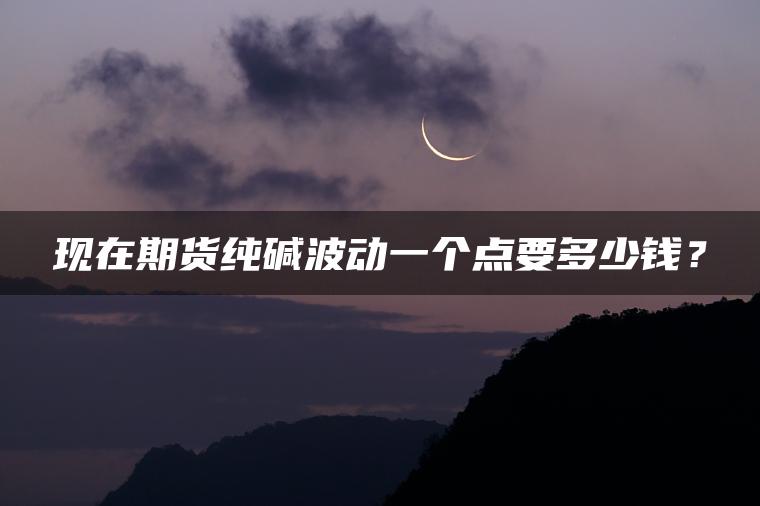 现在期货纯碱波动一个点要多少钱? 现在期货纯碱波动一个点要多少钱?