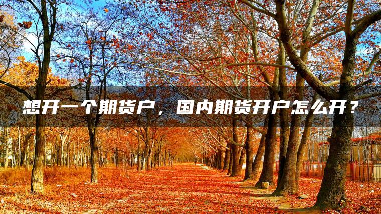想开一个期货户，国内期货开户怎么开？