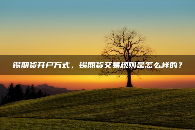 锡期货开户方式，锡期货交易规则是怎么样的？