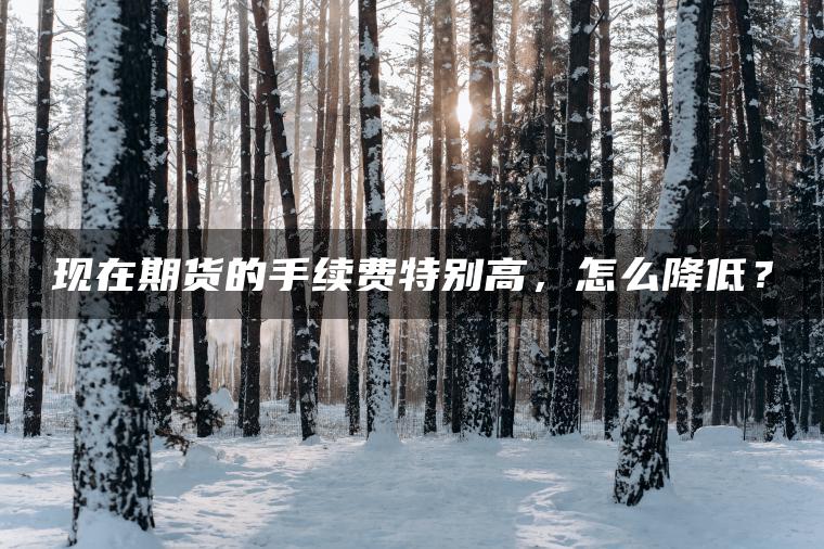 现在期货的手续费特别高,怎么降低? 现在期货的手续费特别高,怎么降低?