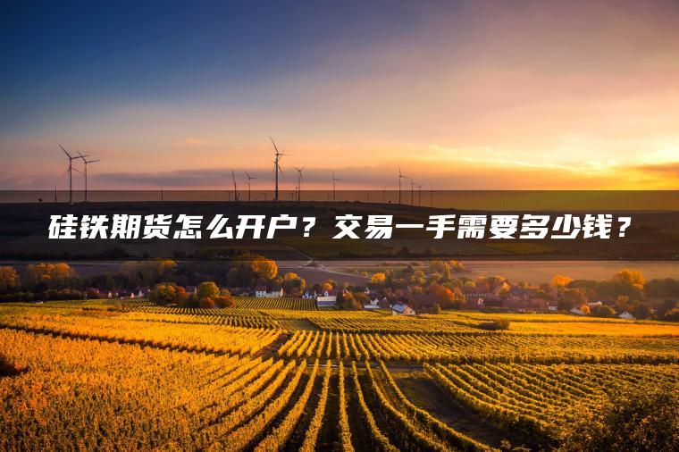 硅铁期货怎么开户?交易一手需要多少钱? 硅铁期货怎么开户?交易一手需要多少钱?