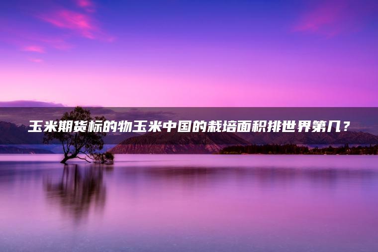 玉米期货标的物玉米中国的栽培面积排世界第几？