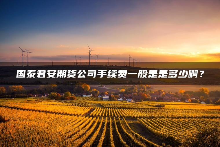 国泰君安期货公司手续费一般是是多少啊？