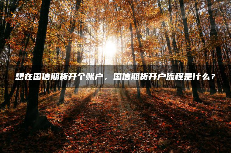 想在国信期货开个账户,国信期货开户流程是什么? 想在国信期货开个账户,国信期货开户流程是什么?