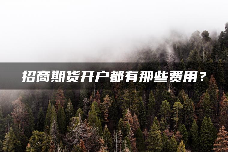 招商期货开户都有那些费用? 招商期货开户都有那些费用?