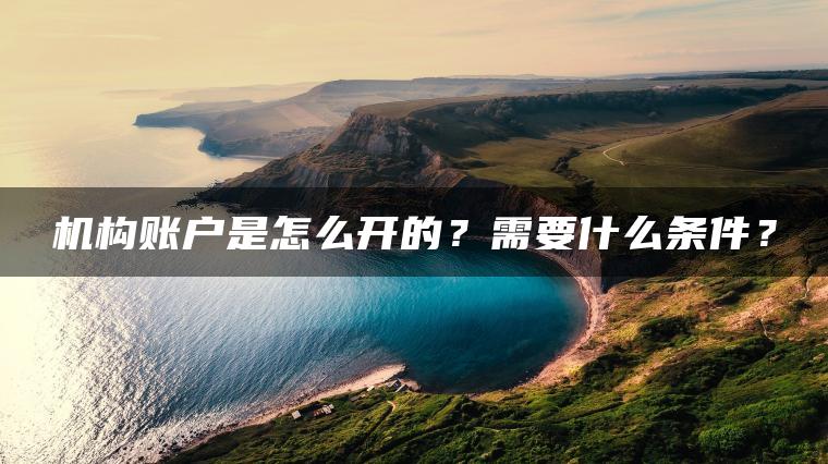 机构账户是怎么开的?需要什么条件? 机构账户是怎么开的?需要什么条件?