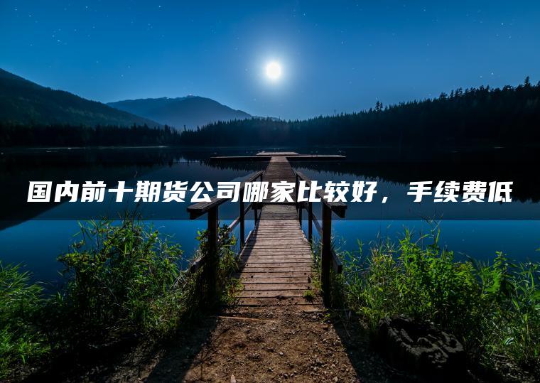 国内前十期货公司哪家比较好,手续费低 国内前十期货公司哪家比较好,手续费低