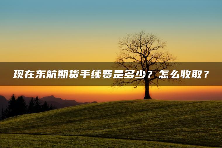 现在东航期货手续费是多少？怎么收取？