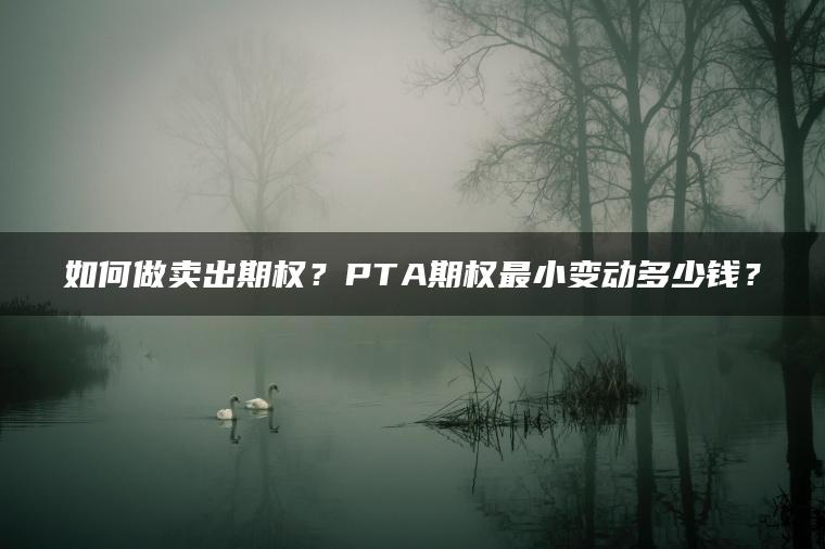 如何做卖出期权？PTA期权最小变动多少钱？