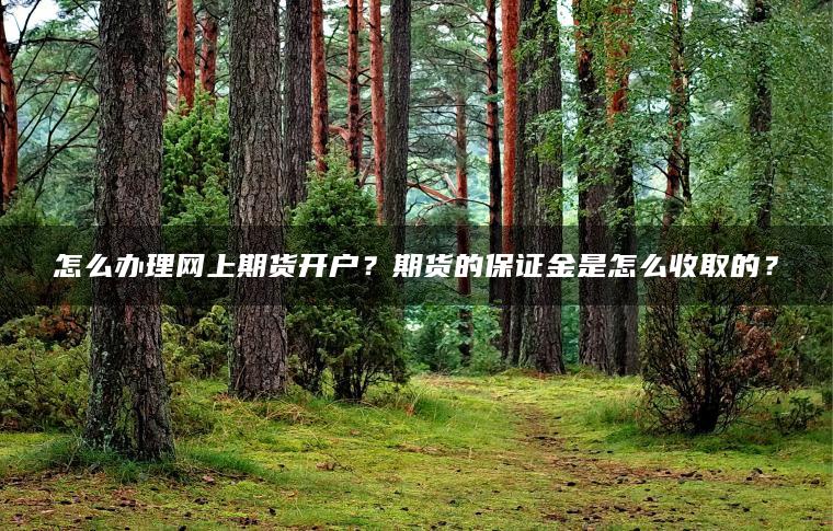 怎么办理网上期货开户?期货的保证金是怎么收取的? 怎么办理网上期货开户?期货的保证金是怎么收取的?