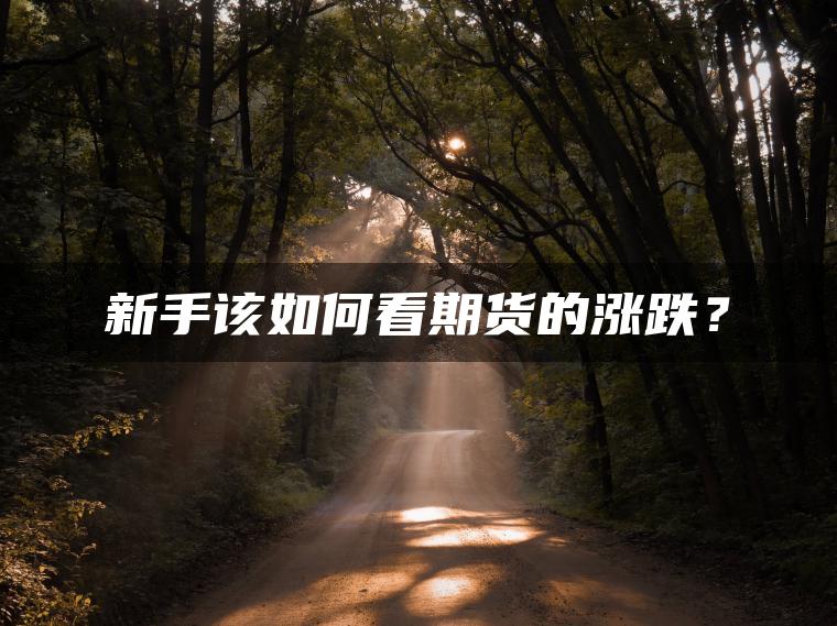 新手该如何看期货的涨跌？