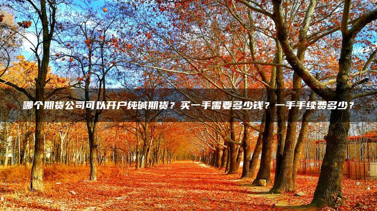 哪个期货公司可以开户纯碱期货？买一手需要多少钱？一手手续费多少？