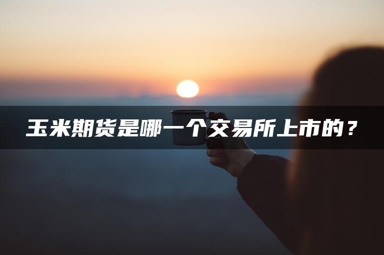 玉米期货是哪一个交易所上市的？