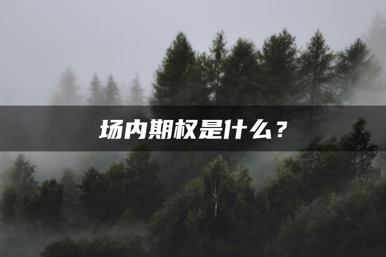 场内期权是什么？