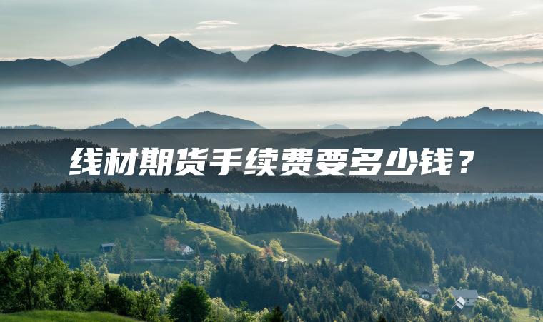 线材期货手续费要多少钱？
