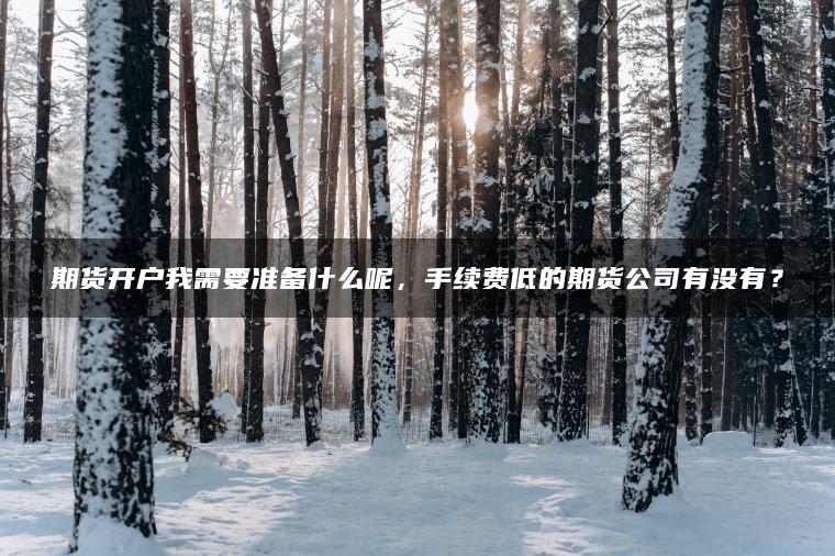 期货开户我需要准备什么呢，手续费低的期货公司有没有？